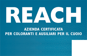 certificazione Reach